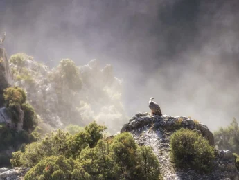 Le Parc Naturel Régional du Verdon