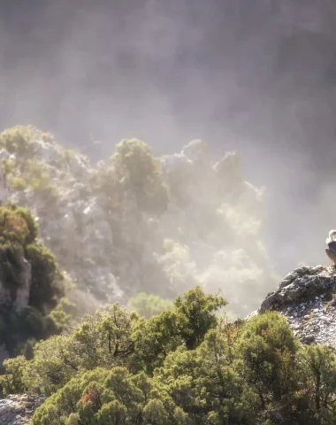 Le Parc Naturel Régional du Verdon