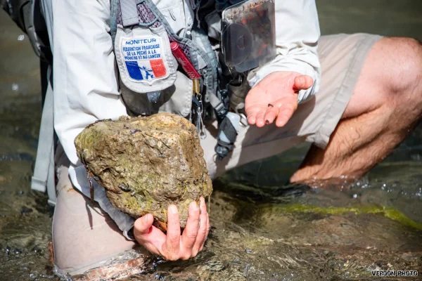 Cartes de pêche